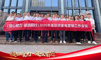 Unity, Strength, Breaking Waves and Moving Forward - Odysa Home Appliances 2025 Q2 Marketing Wor